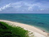 海美来: strawberryさんの2010年07月03日の2枚目の投稿写真