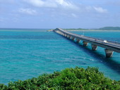 海美来: strawberryさんの2010年07月03日の3枚目の投稿写真