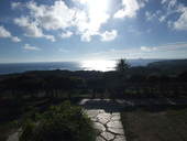 ピザ喫茶・花人逢: strawberryさんの2008年07月18日の1枚目の投稿写真