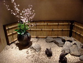 梅の花 上野広小路店: strawberryさんの2009年02月25日の1枚目の投稿写真