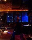 AQUA RESTAURANT&BAR LUXIS ラグシス: strawberryさんの2007年06月06日の1枚目の投稿写真