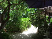 PANIPANI: strawberryさんの2010年09月17日の2枚目の投稿写真