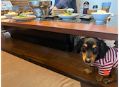 【休業中】幸せを運ぶ牛 幸生牛（さちうぎゅう）取扱店 焼肉小山　金沢もりの里店: ようこさんの2024年06月02日の1枚目の投稿写真