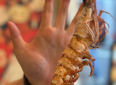 本格炉端焼き・海鮮と干物焼き・飲み放題で楽しむ宴会　よいもど居酒屋　心斎橋店: 香りさんの2026年10月19日の1枚目の投稿写真