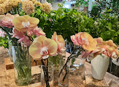 bloom&brew ブルームアンドブリュー: のんさんの2025年05月24日の2枚目の投稿写真