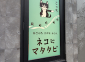 ネコにマタタビ名駅店: はなちゃんさんの2025年06月01日の2枚目の投稿写真