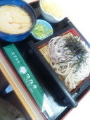 むぎとろ つたや: ねこまるさんの2012年05月27日の1枚目の投稿写真