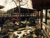 山越うどん: 犬人さんの2015年02月25日の2枚目の投稿写真