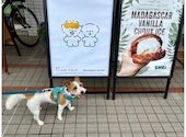 DOG GOODS&CAFE SHEi ドッググッズアンドカフェシー: SAMUさんの2026年08月27日の3枚目の投稿写真