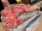 魚の飯　新橋: cocoさんの2024年10月の1枚目の投稿写真