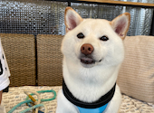 Apian ピアン 蘇我: ゆずすずさんの2021年08月02日の3枚目の投稿写真