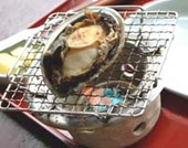 一山いけす: さんじさんの2008年07月09日の1枚目の投稿写真