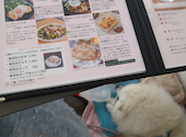 cafe cour: 桜CHAN90318さんの2025年06月の1枚目の投稿写真