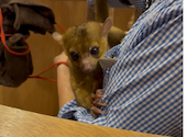 Moff animal cafe ららぽーと立川立飛店: ゆうやさんの2026年08月10日の2枚目の投稿写真