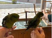Moff animal cafe ららぽーと立川立飛店: ゆうやさんの2026年08月10日の3枚目の投稿写真