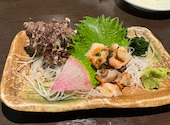 釣船茶屋 ざうお 横浜綱島店: しらたまさんの2026年04月26日の2枚目の投稿写真