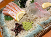 かつら亭 別館 心斎橋: serachanさんの2026年09月05日の1枚目の投稿写真