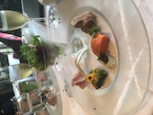 BIS-TRIA gatsby ビストリア ギャッツビー: ゆいぴーさんの2018年09月10日の1枚目の投稿写真