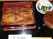鰻 小日向: エフ８さんの2026年08月23日の1枚目の投稿写真
