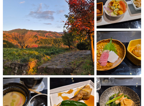 鳴海家: くわおりさんの2025年11月23日の2枚目の投稿写真