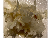 L atelier de oto ラトリエドオト 銀座SIX店: yuさんの2026年06月04日の1枚目の投稿写真