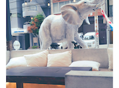 Dining cafe&bar GAGA: ひーちゃんさんの2026年09月07日の2枚目の投稿写真