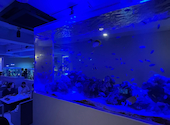 アクアリウムダイニング　サカナノセカイ　小倉店: よっちゃんさんの2023年07月31日の1枚目の投稿写真