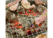 金獅子のホルモン 北2条店: ＣＨＯＢＩさんの2026年04月12日の1枚目の投稿写真