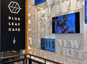 BLUE LEAF CAFE 京都: 水星さんの2026年07月29日の1枚目の投稿写真