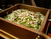 銀座季楽: ばんびぃな。さんの2007年04月21日の2枚目の投稿写真