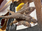 魚のほね: さささんの2024年05月04日の3枚目の投稿写真