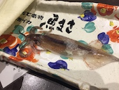 函館魚まさ 札幌すすきの店: あずちゃんさんの2019年07月22日の1枚目の投稿写真