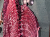 マグロセンター 栄伏見店: せいぎさんの2026年05月24日の1枚目の投稿写真