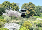 イル・テアトロ ホテル椿山荘東京: eriさんの2026年05月07日の2枚目の投稿写真