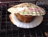 海鮮茶屋 活き活き亭: Cheerさんの2015年03月14日の1枚目の投稿写真