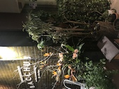 地中海バル バッカス BACCHUS 表参道: ピネさんの2019年01月17日の1枚目の投稿写真