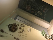 地中海バル バッカス BACCHUS 表参道: ピネさんの2019年01月17日の2枚目の投稿写真