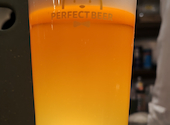 PERFECT BEER KITCHEN パーフェクトビアキッチン 西荻窪: ちみちゃん06さんの2026年02月11日の1枚目の投稿写真