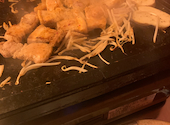 韓国料理 クッパ 千林: もときちさんの2020年11月15日の2枚目の投稿写真