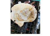 北海道海鮮居酒屋と個室 魚寅水産 上野駅前店 : まろさんの2025年05月の1枚目の投稿写真