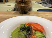 Cafe&Bar Manul マヌル: ユーミさんの2026年03月31日の2枚目の投稿写真