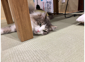 Cafe&Bar Manul マヌル: ユーミさんの2026年03月31日の3枚目の投稿写真