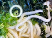 こがね製麺所 丸亀本店: かいさんの2026年09月23日の1枚目の投稿写真