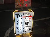 ねこじろう necojiro 明大前: とらじろうさんの2023年12月21日の1枚目の投稿写真