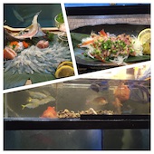 博多魚がし 海の路 天神店: みかっちさんの2015年03月24日の1枚目の投稿写真