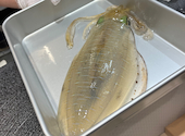 鮨 からす 梅田店: みゆっぴさんの2024年01月18日の2枚目の投稿写真