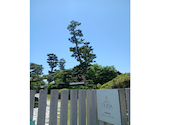 RISAIA CODA 田尻歴史館 カフェとレストラン: とまとさんの2026年05月13日の3枚目の投稿写真