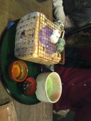 eX cafe 京都嵐山本店: はじめさんの2012年03月14日の3枚目の投稿写真