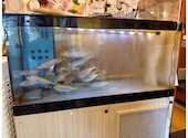 さかな酒場 魚星 越谷レイクタウン駅前店: しぶっちさんの2026年05月15日の1枚目の投稿写真
