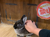小動物カフェ ROCK STAR ロックスター 難波千日前店: 久遠さんの2023年02月25日の3枚目の投稿写真